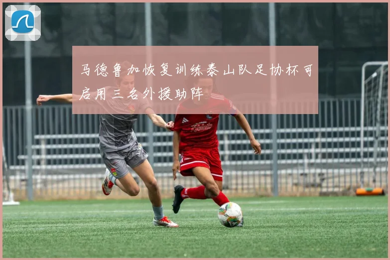 马德鲁加恢复训练泰山队足协杯可启用三名外援助阵