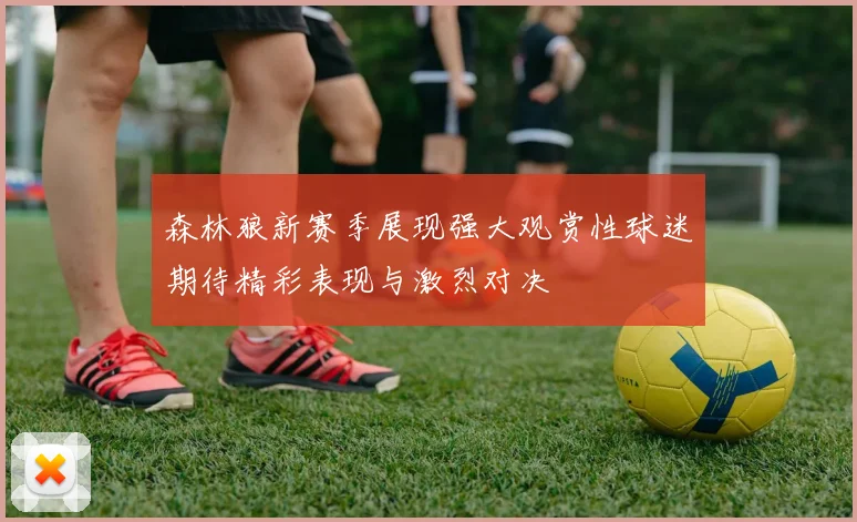 森林狼新赛季展现强大观赏性球迷期待精彩表现与激烈对决