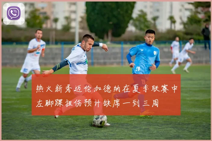 热火新秀迈伦加德纳在夏季联赛中左脚踝扭伤预计缺席一到三周